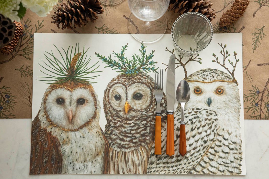 Winter Owls Story