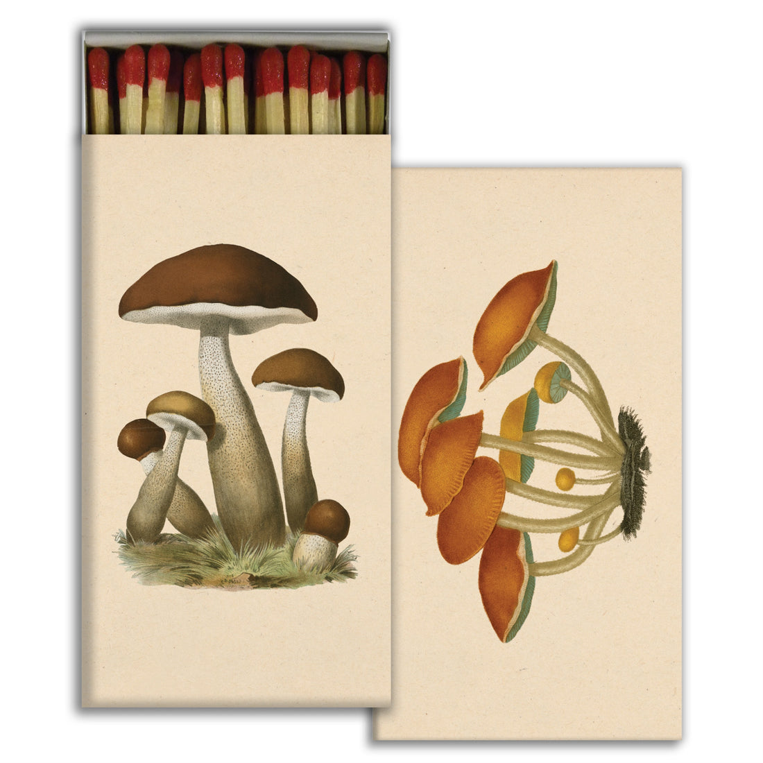 Matchbox featuring an image of a cluster of mushrooms on front and back side and red tipped matches.