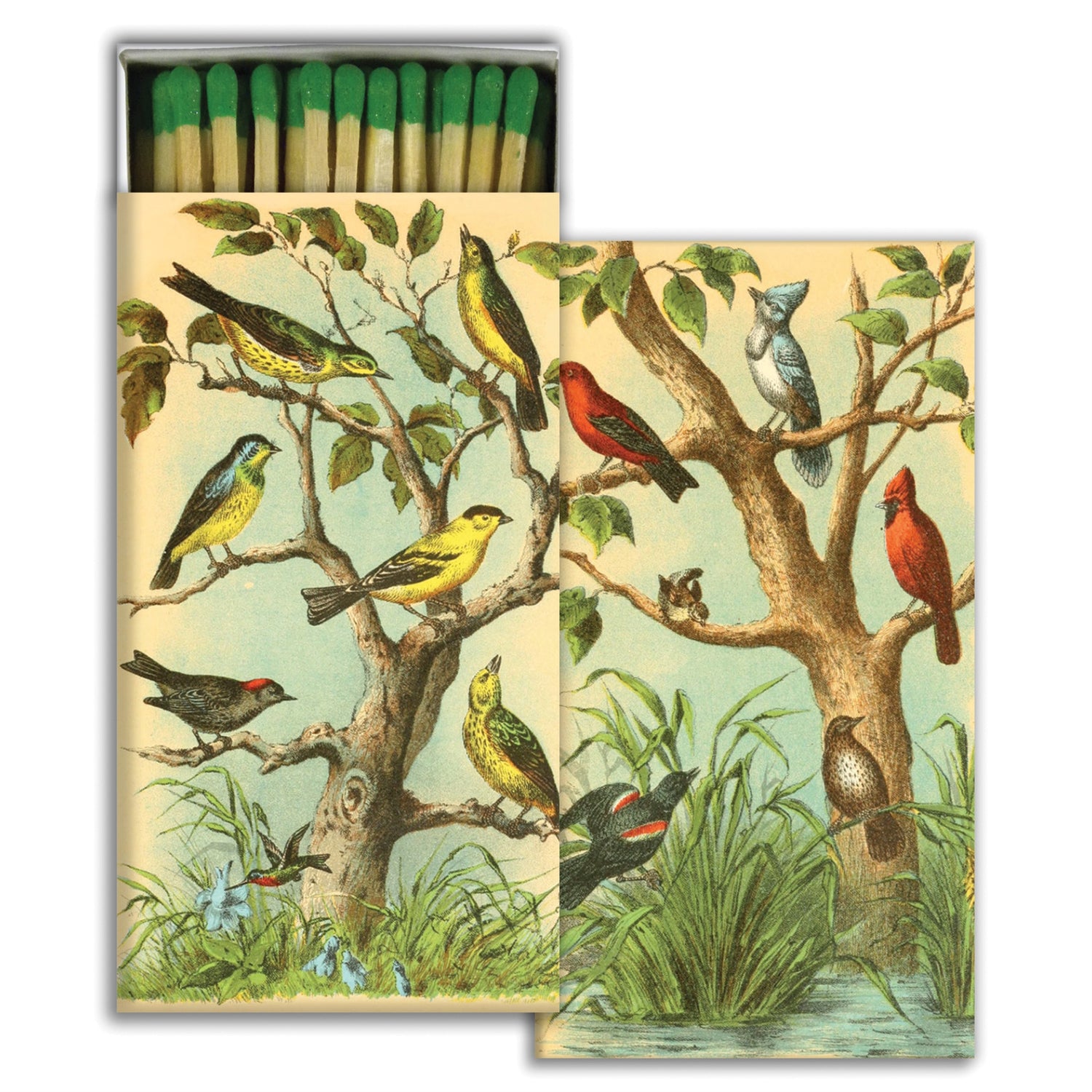 Bird Studies Matches