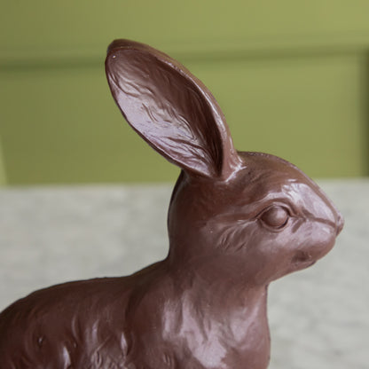 A close up of the &quot;Chocolate&quot; Sitting Bunny showing its ears.