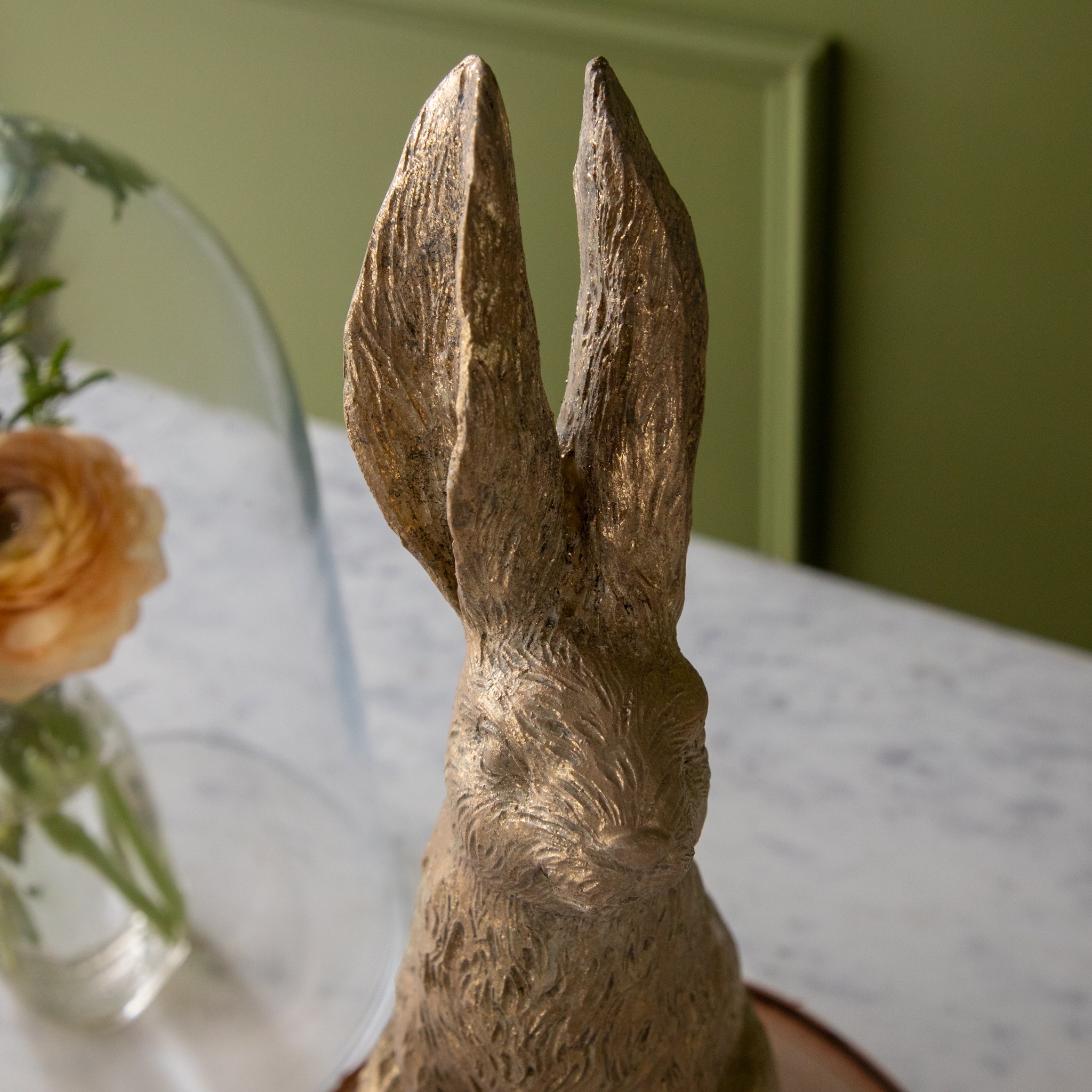 A close up of the Gold Leaf Rabbit ears poised upwards.