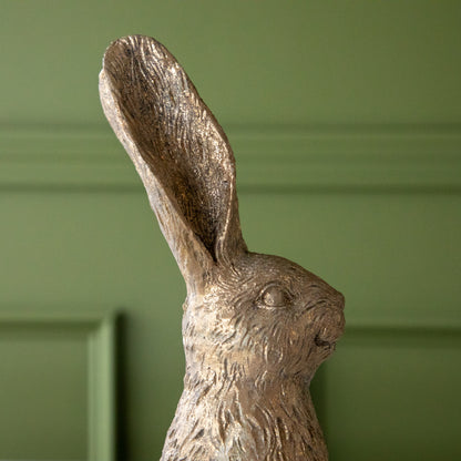 A close up of the Gold Leaf Rabbit ears.