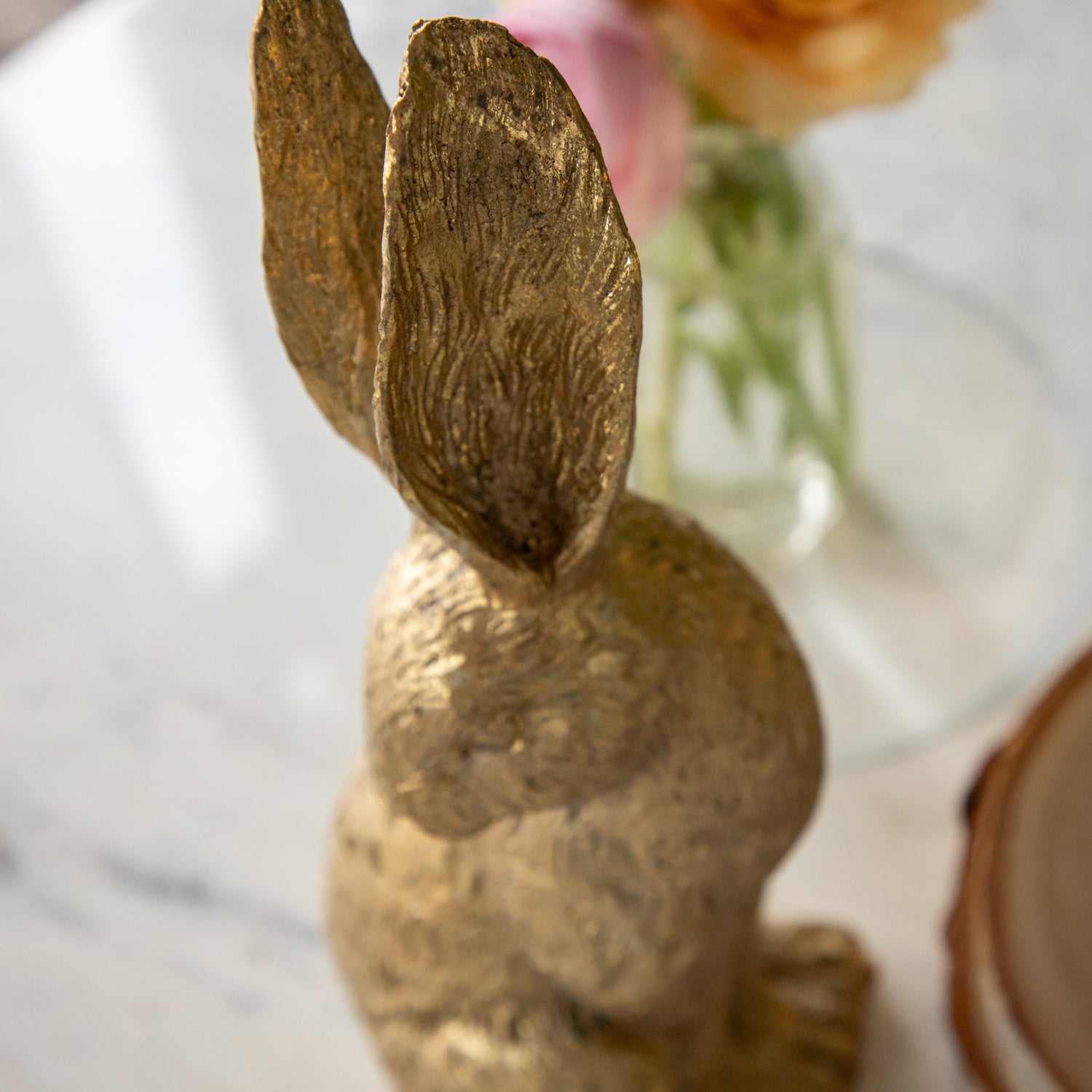 A close up of the Gold Leaf Rabbits ears.