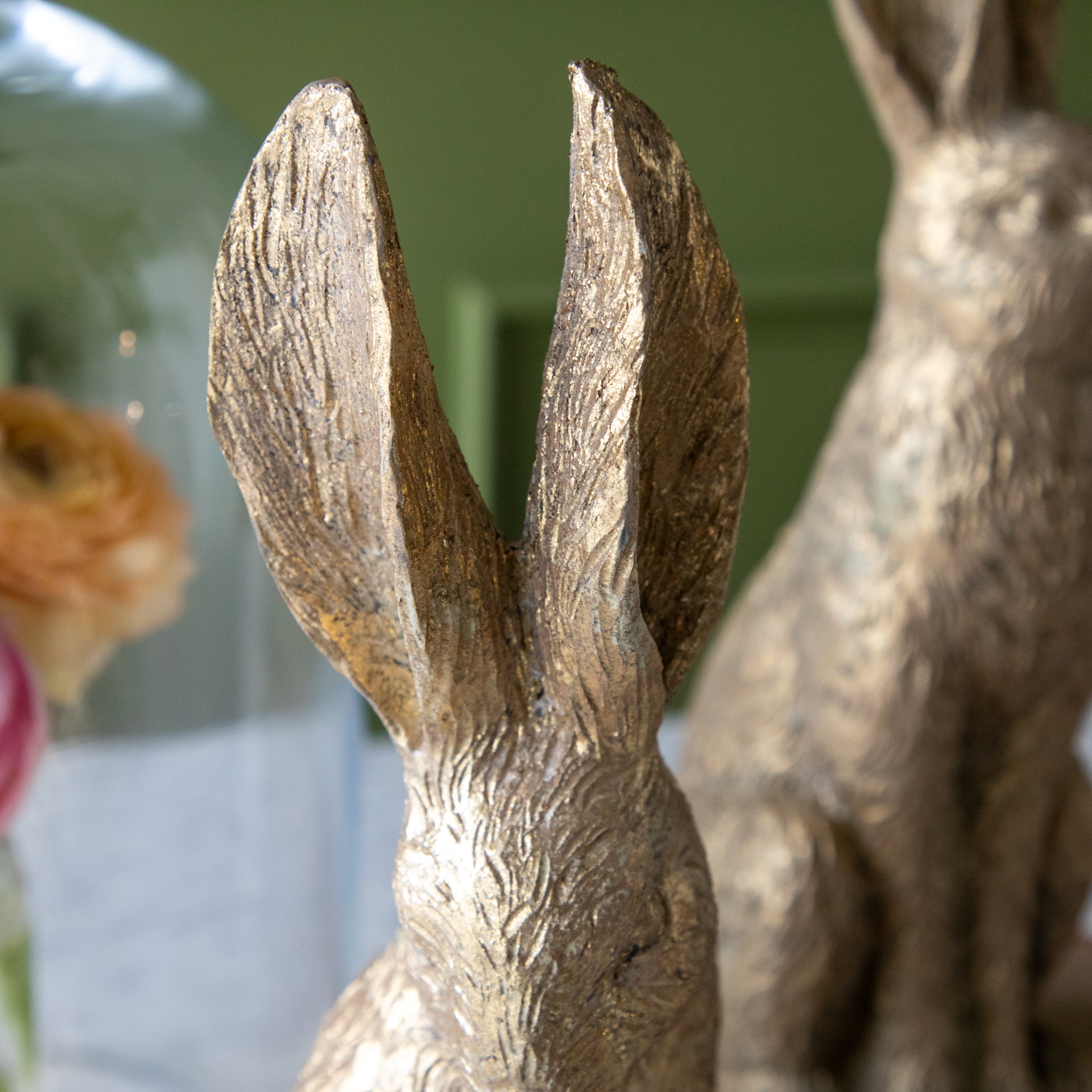 A close up of the Gold Leaf Rabbits ears.