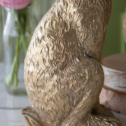 A close up of the body of the Gold Leaf Rabbit in a sitting position.