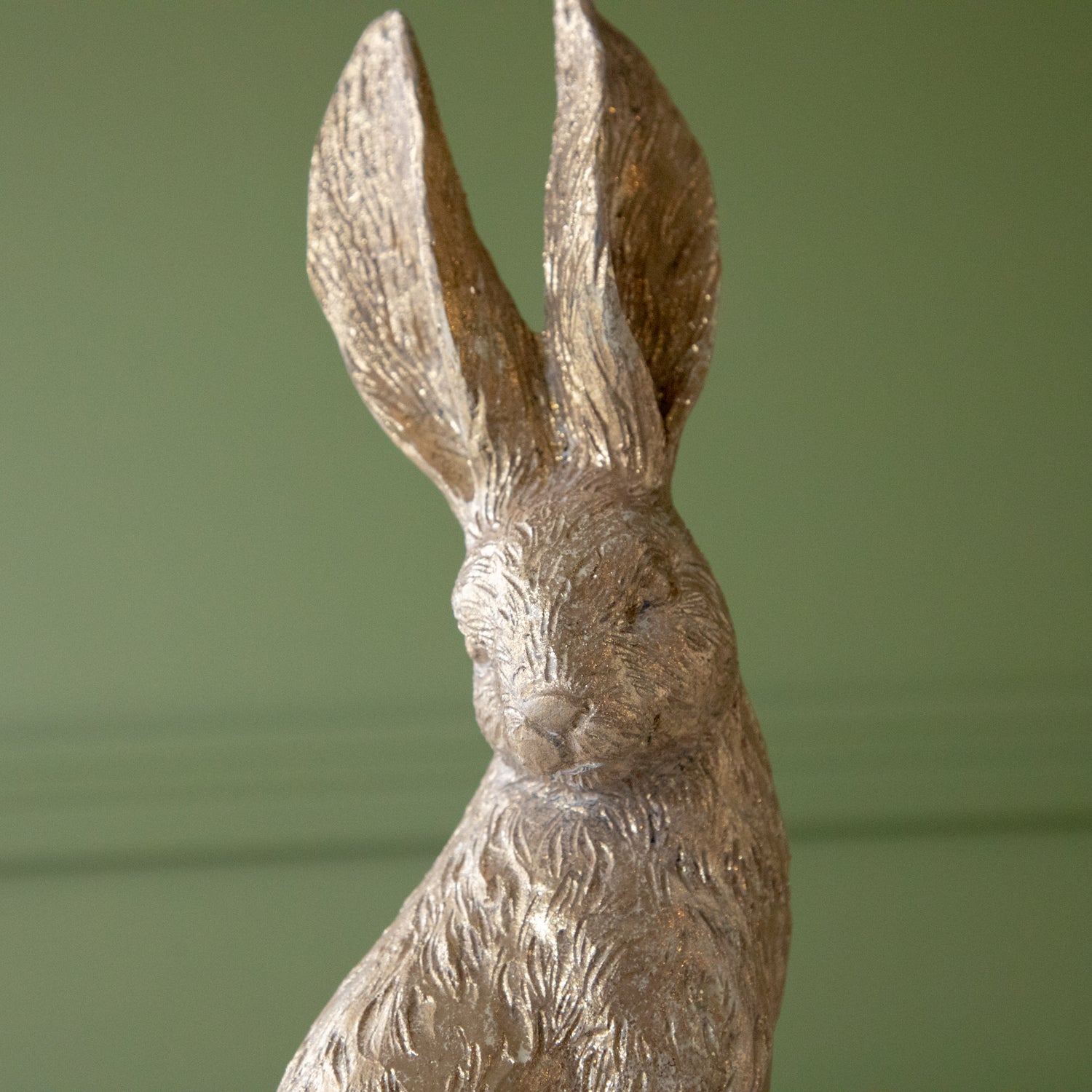 A close up of the head down Gold Leaf Rabbit.