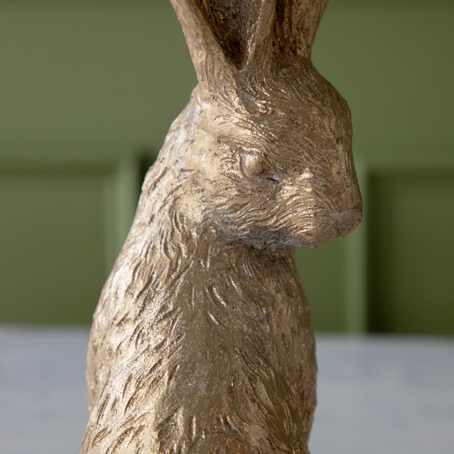 A close up of the Gold Leaf Rabbit.