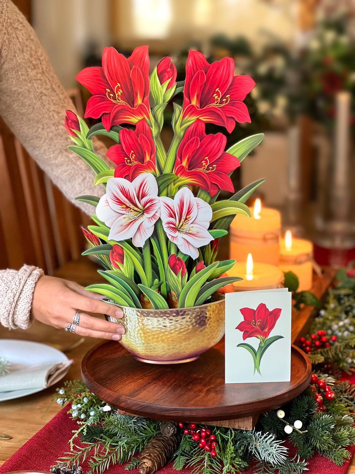 Person putting Scarlet Amaryllis Pop up Card onto a small table