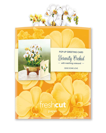 A potted arrangement of artificial orchids with a wooden stand against a white background, accompanied by a Fresh Cut Paper Mini Pop Up Flower Bouquet.