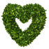 Boxwood Heart Wreath