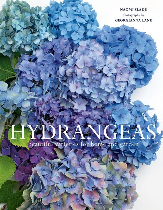 Cover of Hydrangeas book.