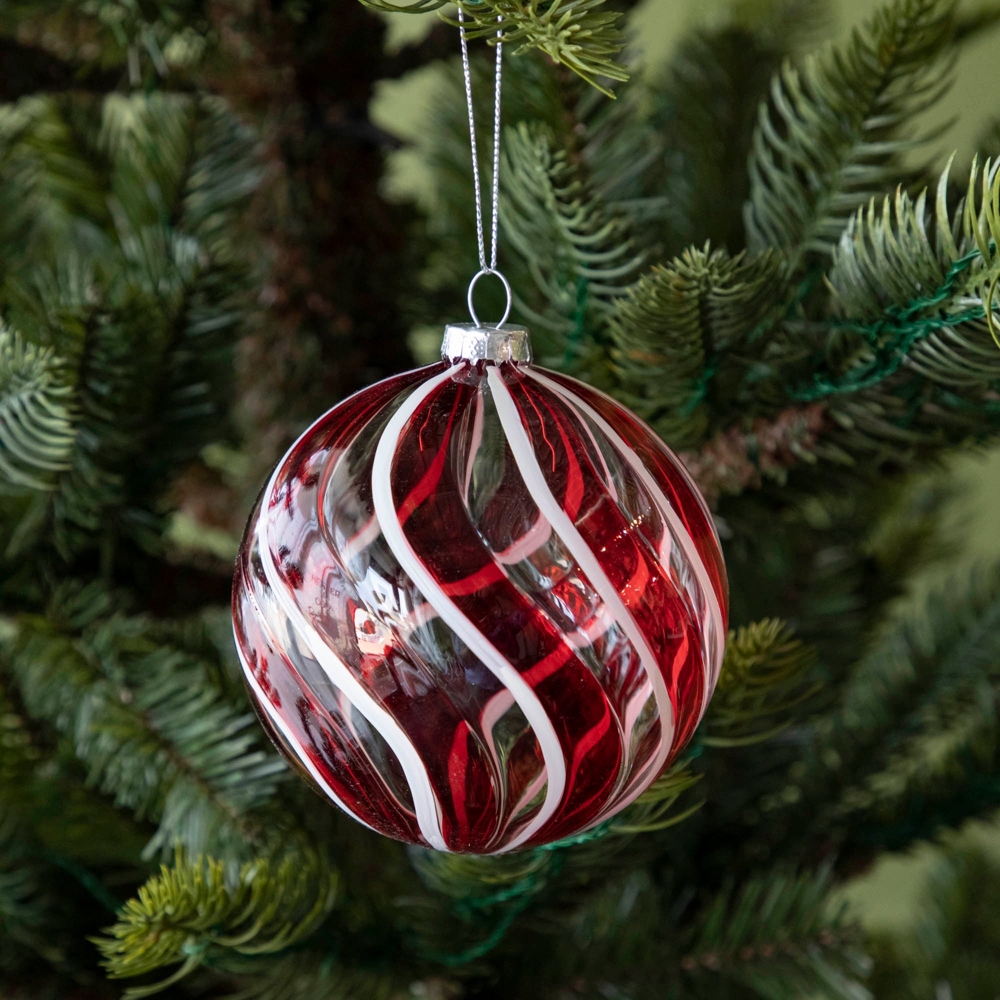 A round Peppermint Stripe Ornament hanging on a tree by a silver string.