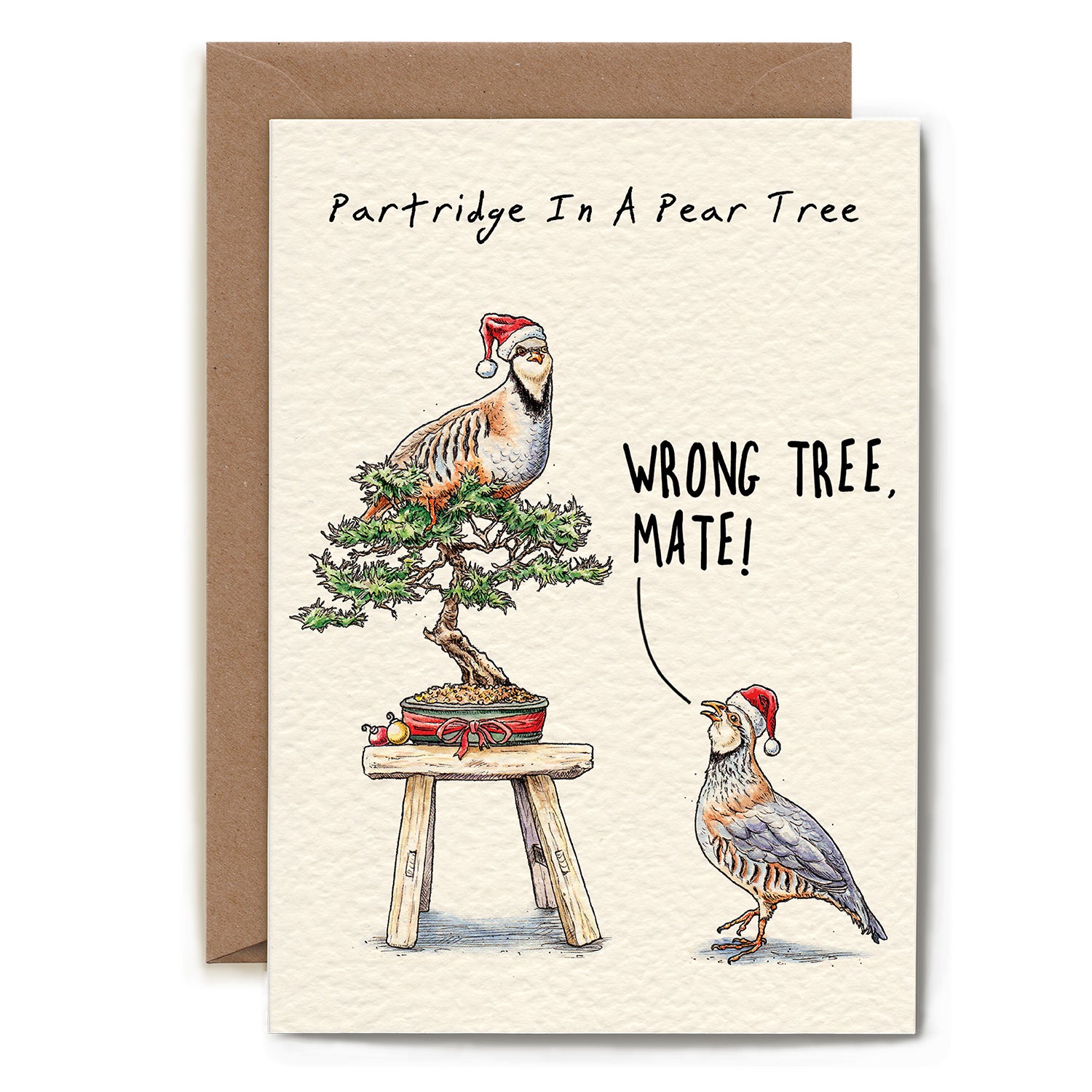 A funny illustration of two partridges in Santa hats: one is perched on top of a small bonsai tree, and the other is saying &quot;Wrong tree, mate!&quot; under the caption, &quot;Partridge In A Pear Tree.&quot;