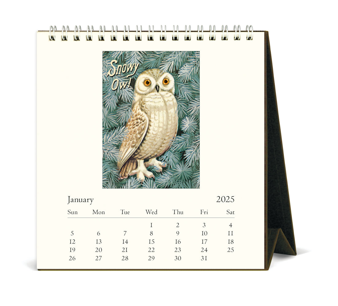 Vintage Owls 2025 Desk Calendar