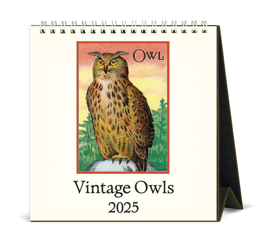 Vintage Owls 2025 Desk Calendar