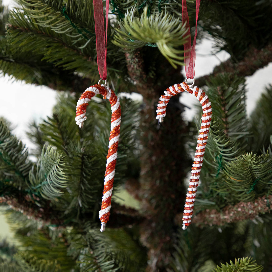 Two Park Hill Beaded Candy Cane Ornaments hanging on a tree adorned with beaded accents.