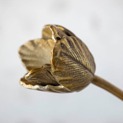 Craning Tulip Sculptures