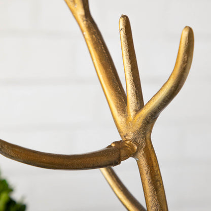 A close up of the Brass Deer Head antlers.