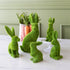 Green Flocked Bunnies ranging from extra small to extra large, in front of a jar of decorative carrots.