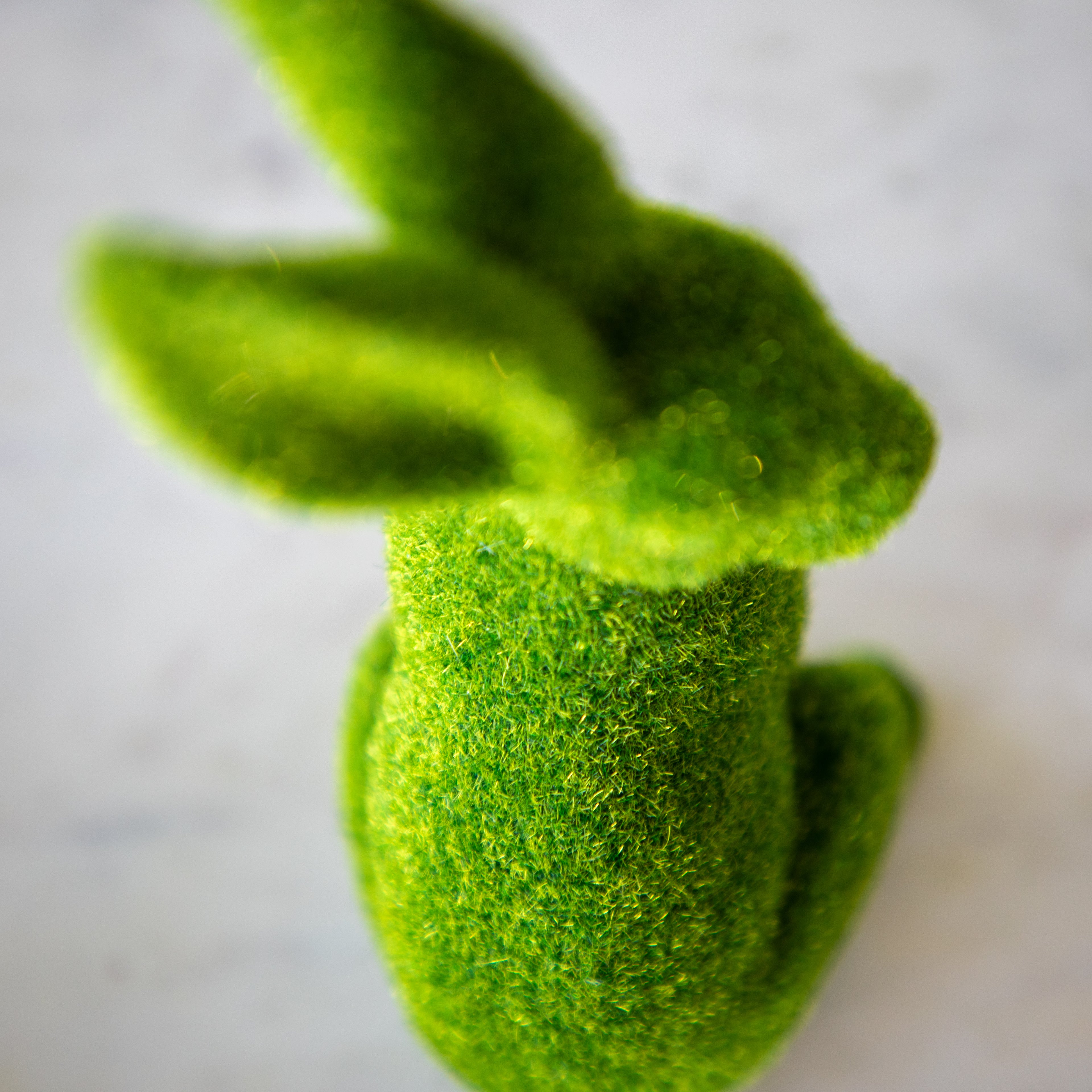 A top down view of the extra large green flocked bunny showing its flocked details on its back.