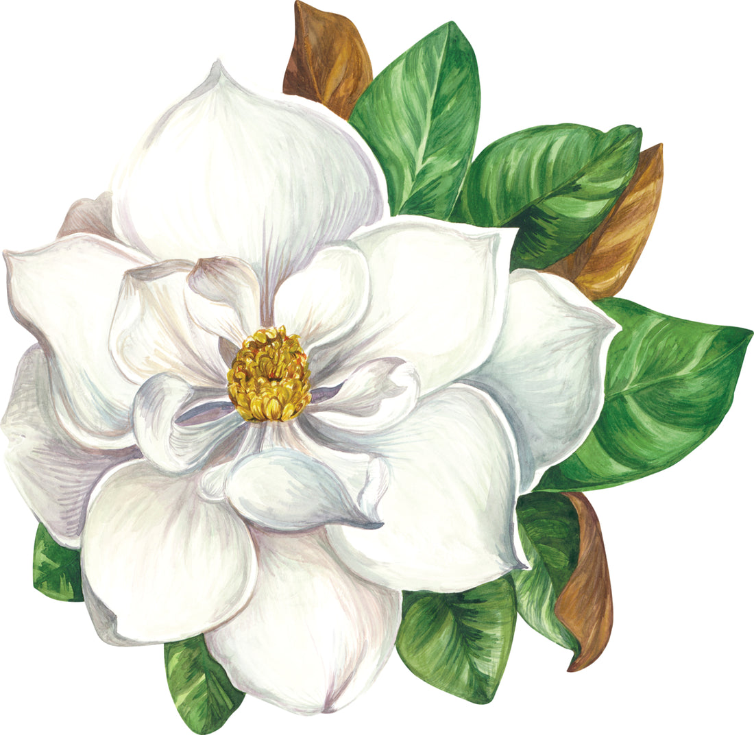 A Die-cut Magnolia Placemat from Hester &amp; Cook features a hand-drawn magnolia flower on a white background.