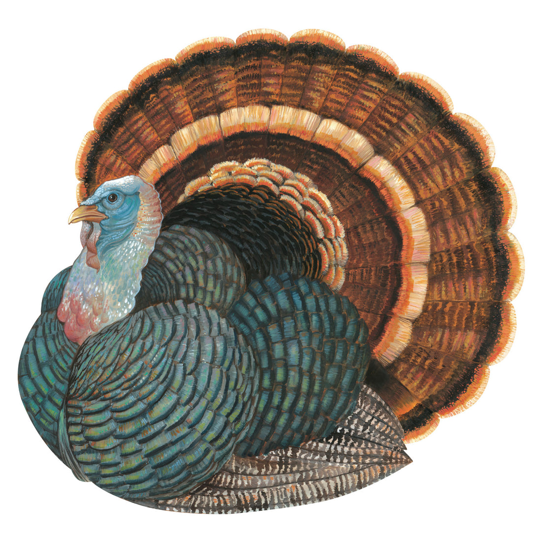 A die-cut illustration of a plump brown, blue and black turkey. 