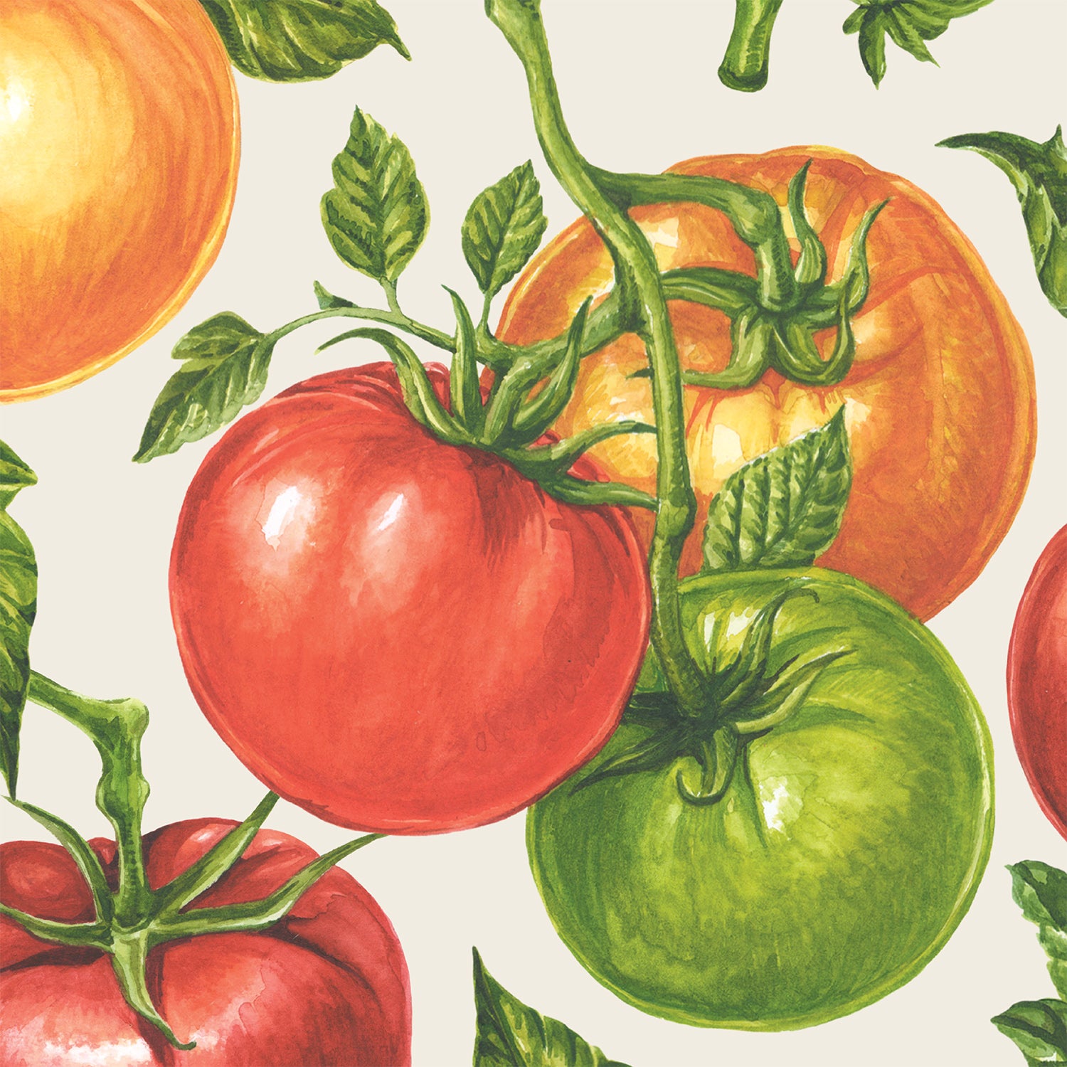 The Tomato Cocktail Napkin featuring hand-drawn, colorful tomatoes on a vine.