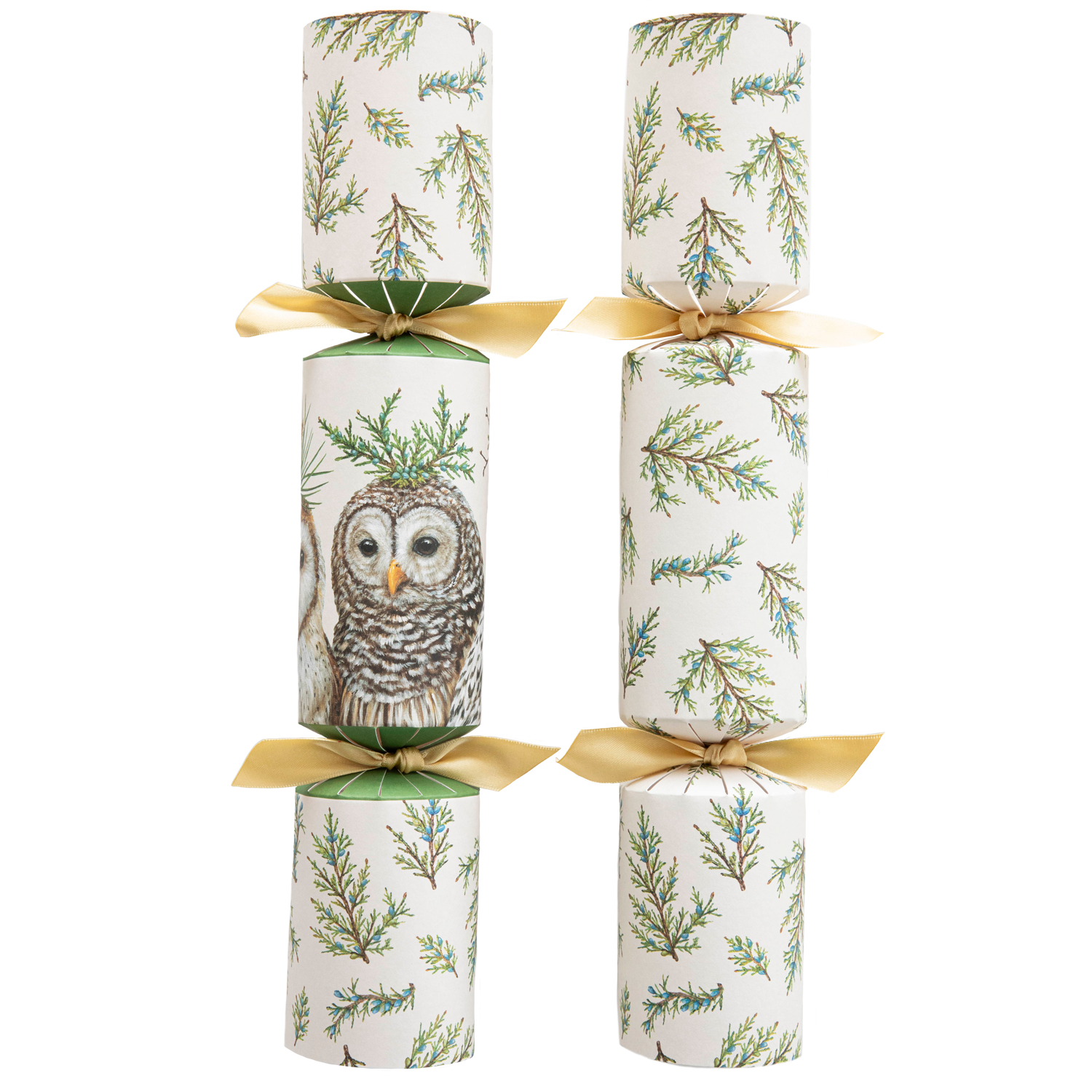 Winter Owls Crackers