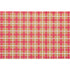 Red & Gold Plaid Placemat