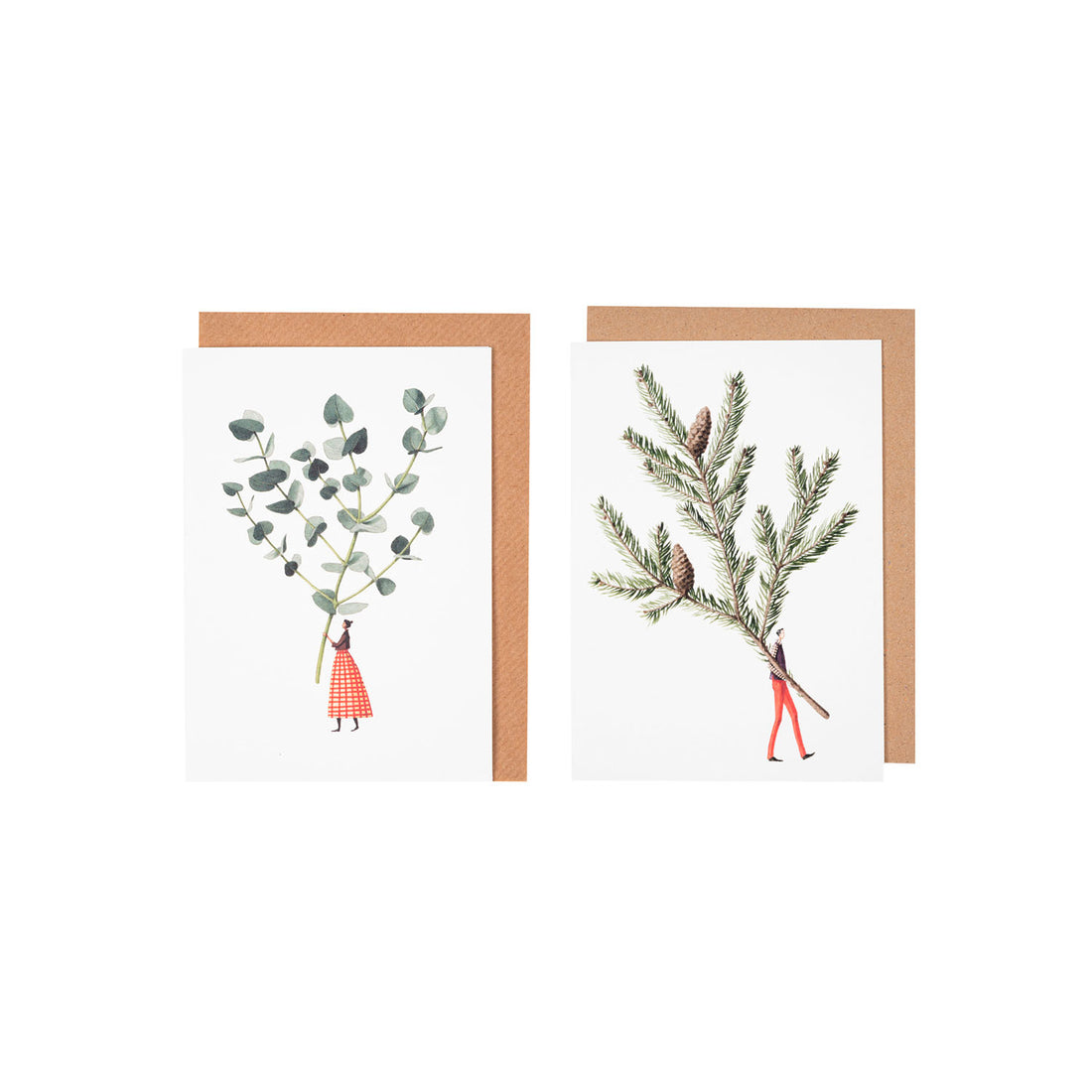 Spruce &amp; Eucalyptus Card Set