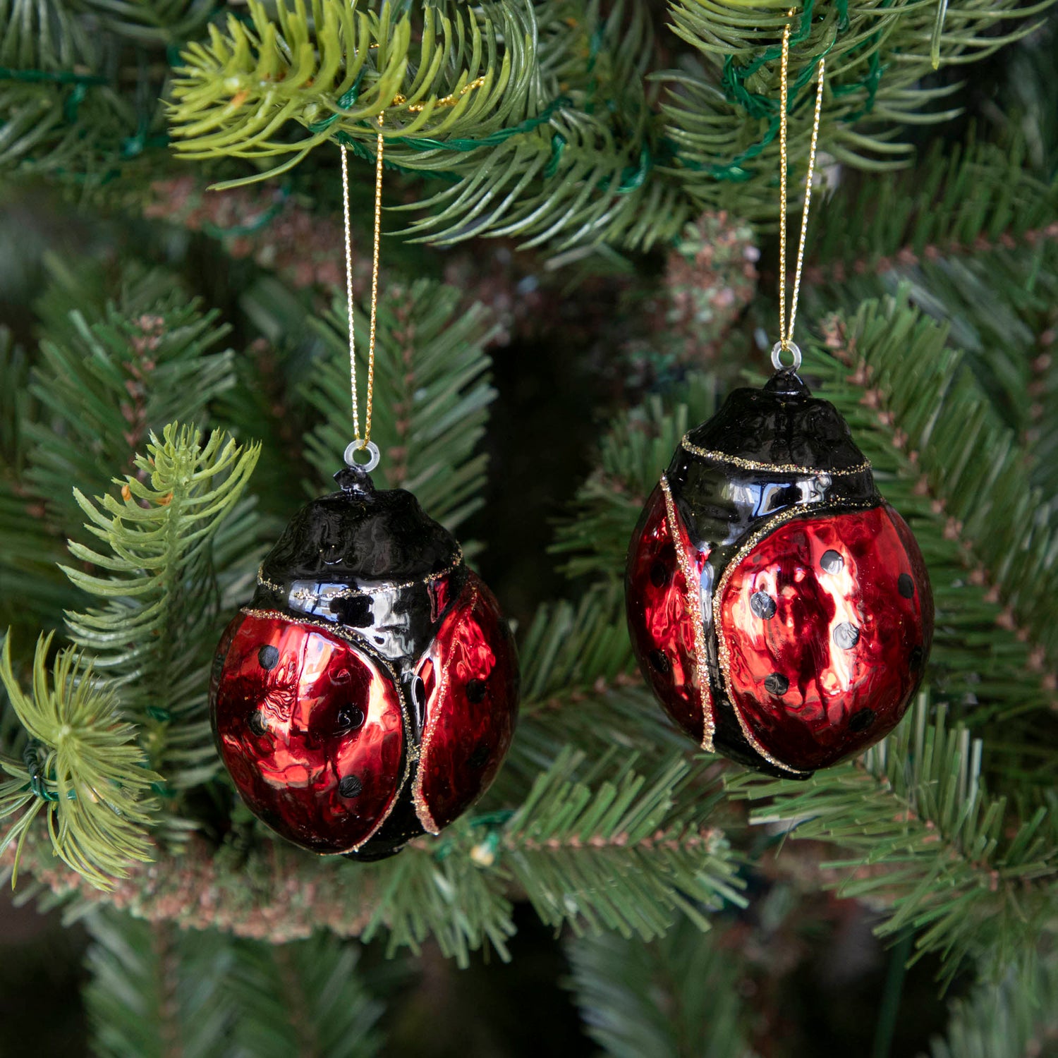 Two Glass Ladybug ornaments hanging on a tree.