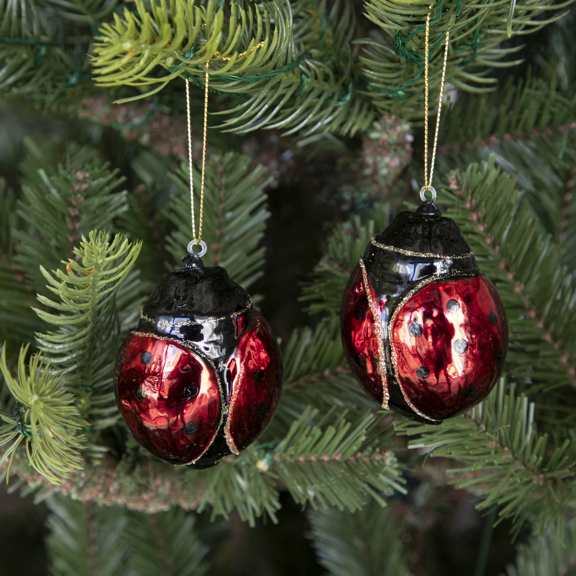 Two Glass Ladybug ornaments hanging on a tree.