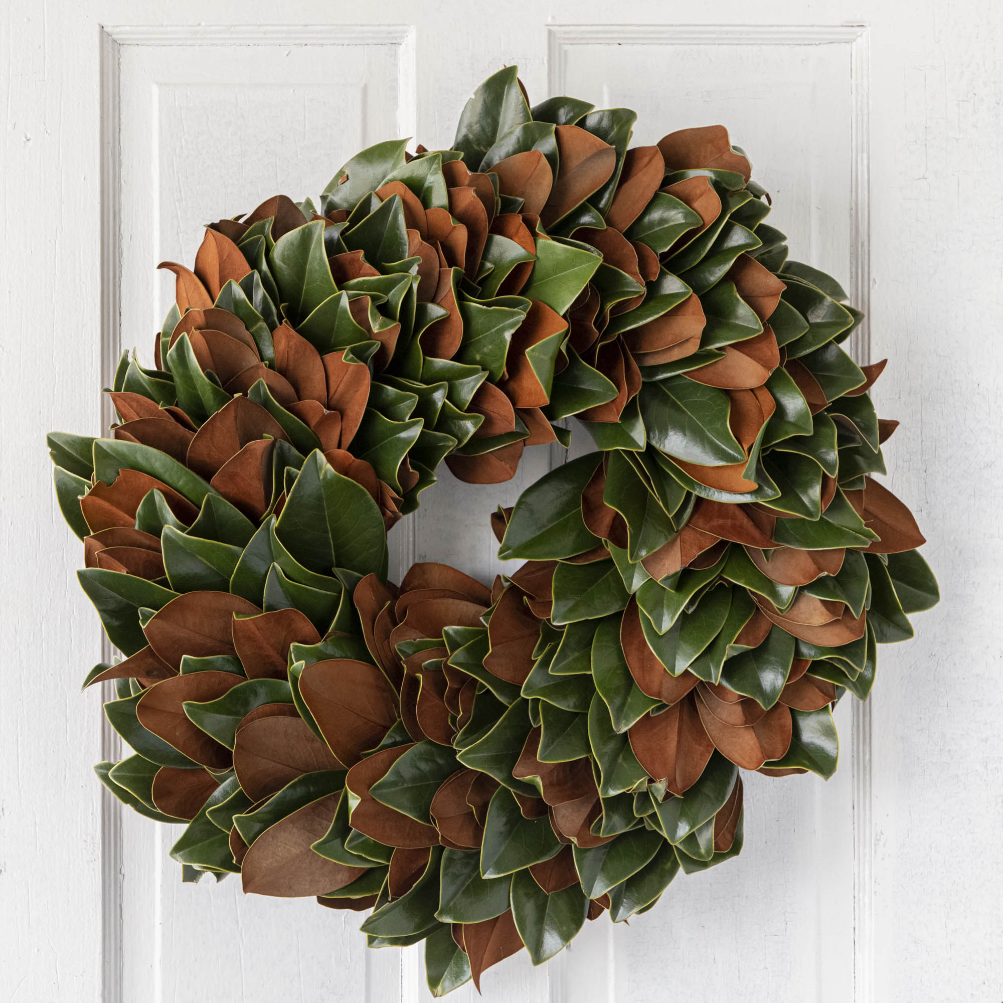 fresh magnolia wreath on a door