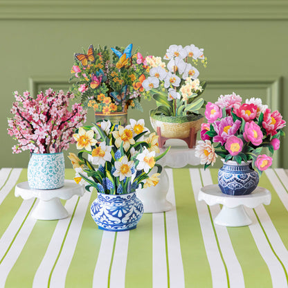 A potted arrangement of artificial orchids with a wooden stand against a white background, accompanied by a Fresh Cut Paper Mini Pop Up Flower Bouquet.