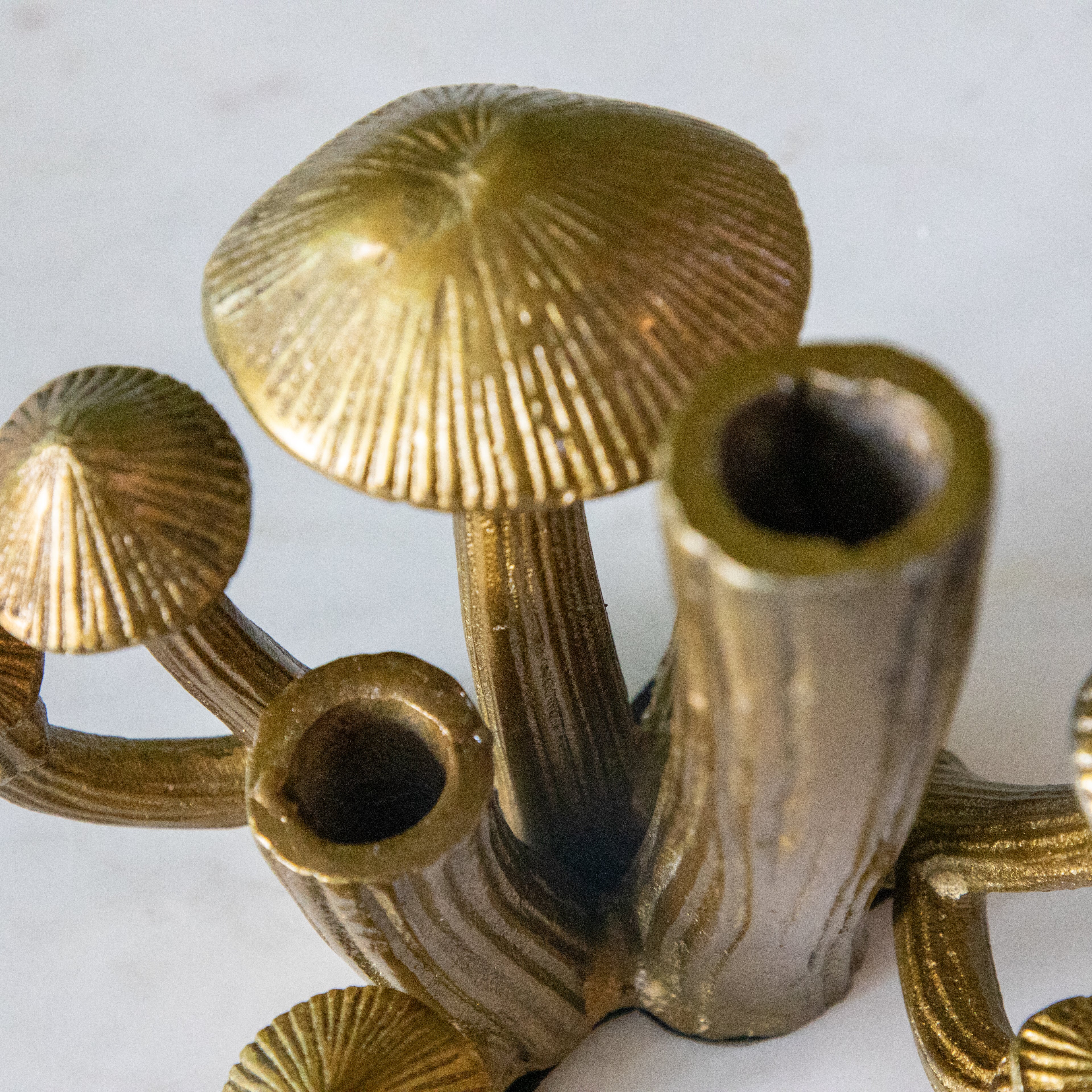 A topdown view of the Clustered Mushroom Vase showing three open stems for flowers and four mushrooms.