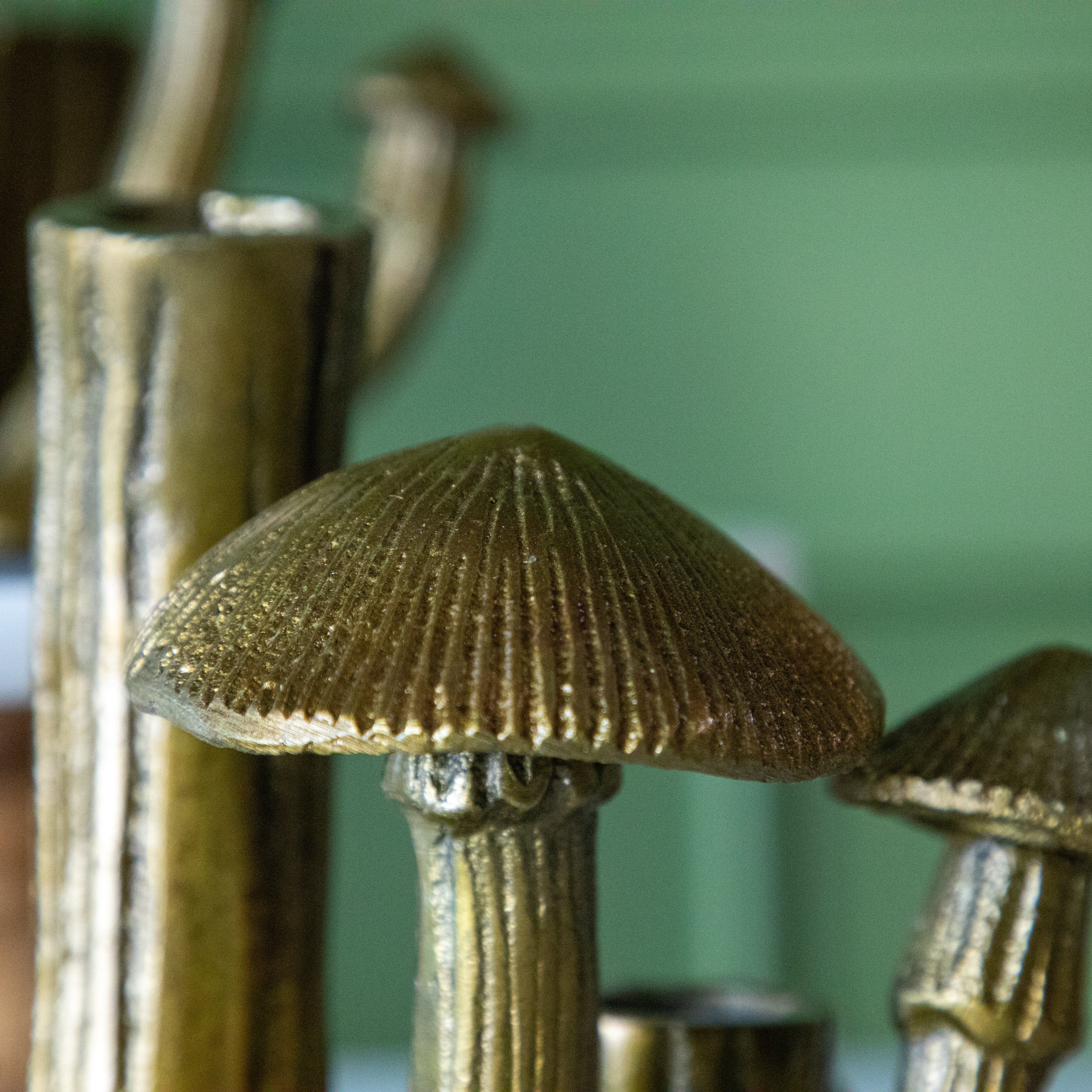 A close up of the Clustered Mushroom Budvase showing the lined details of the mushroom cap.