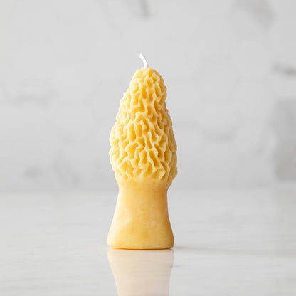 Morel Mushroom Beeswax Candles