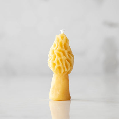 Morel Mushroom Beeswax Candles