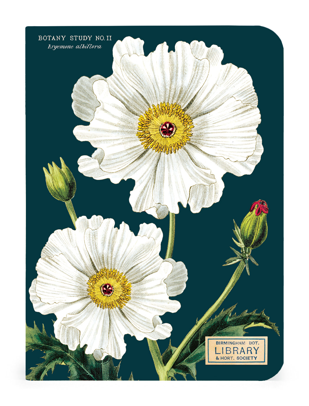 Three Botany 3 Mini Notebooks with vintage artwork of flowers on them by Cavallini Papers &amp; Co.