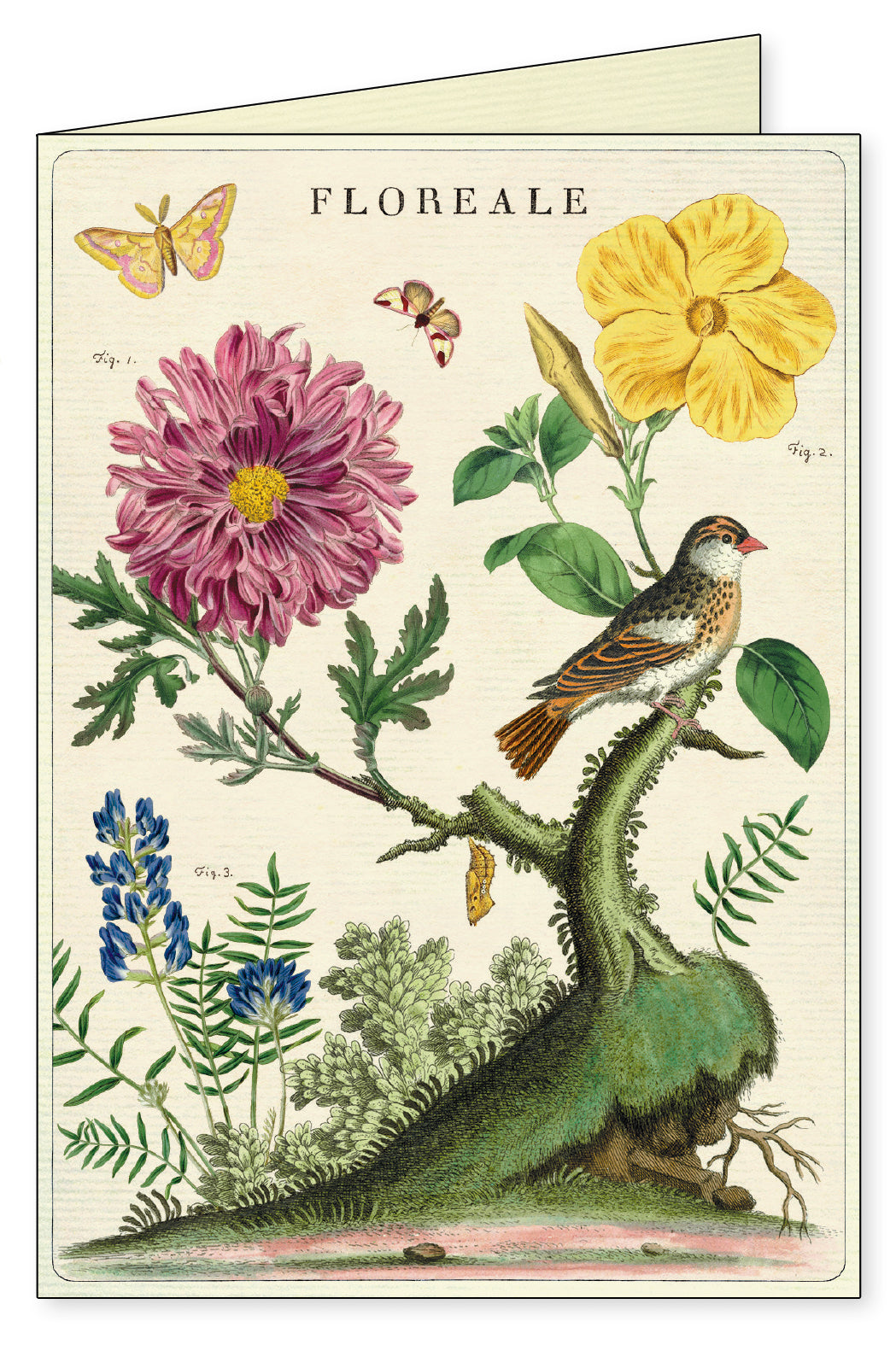 A picture of a bird and flowers from the Cavallini Papers &amp; Co. Floreale Boxed Notecards Set of 8 collection.