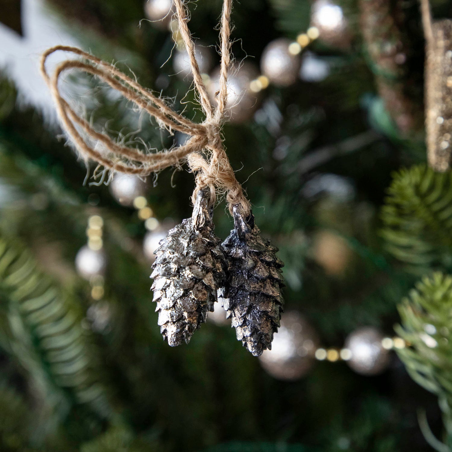 Silver Bundle of Cones