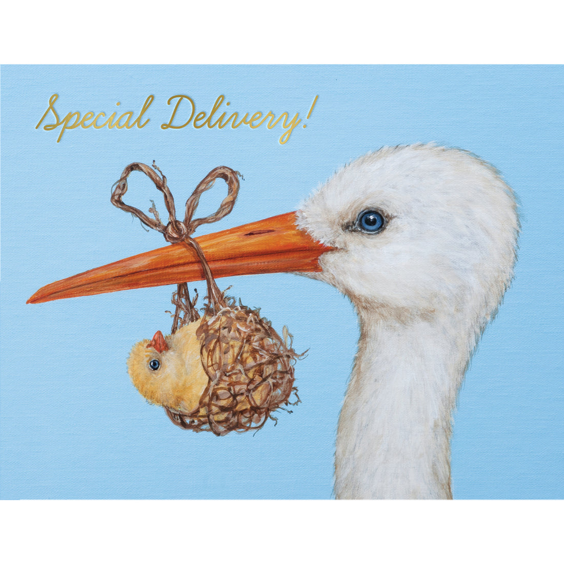 A baby blue greeting card featuring a charming illustrated portrait of a stork holding a small yellow chick in a woven grass bundle dangling from its beak, with the message &quot;Special Delivery!&quot; printed in gold foil script. 