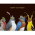 A greeting card featuring a charming illustration of four colorful songbirds wearing various seeds and botanicals as hats and masks, over a black background with gold foil text that reads "HAPPY BIRTHDAY!"