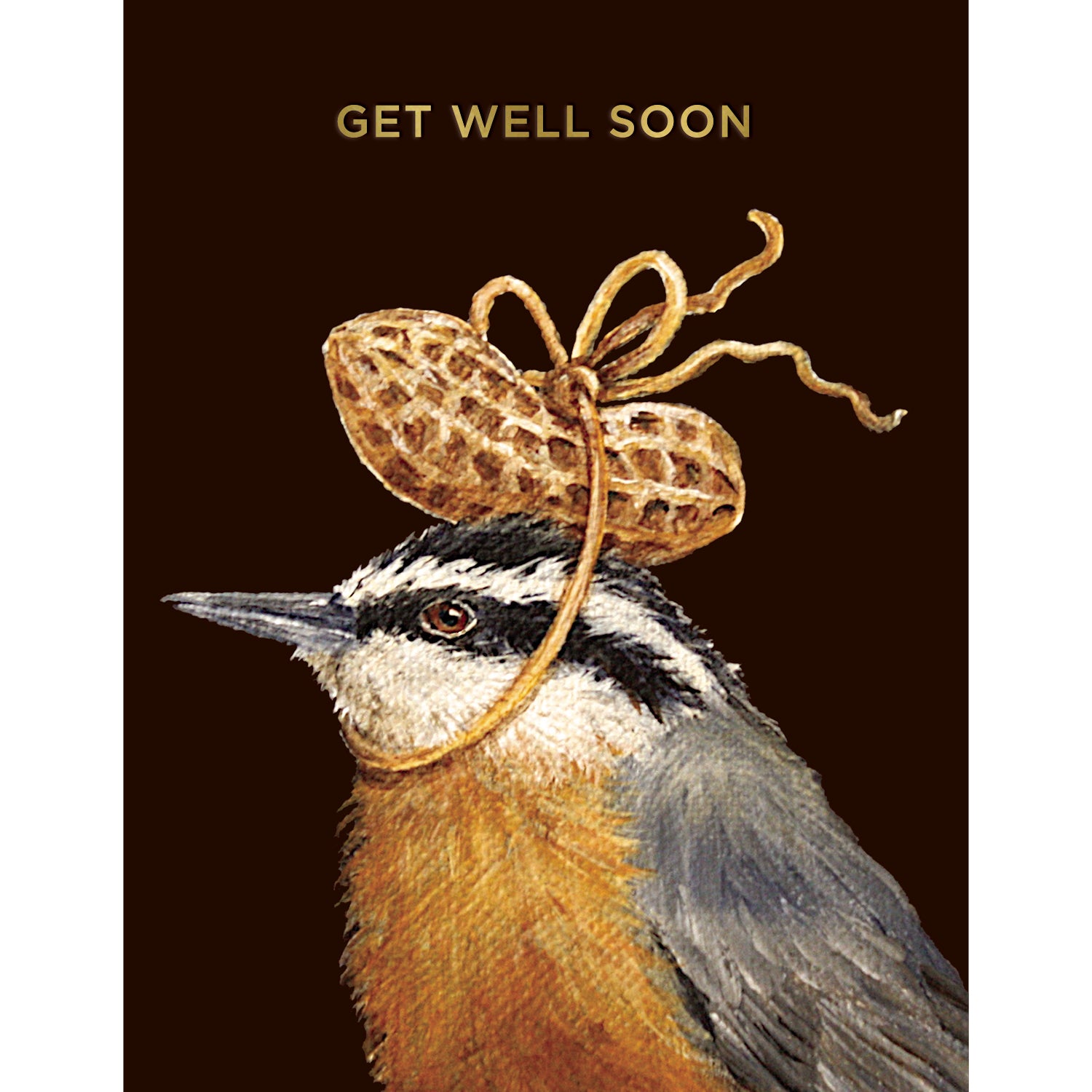 This Hester &amp; Cook card with an original artwork by Vicki Sawyer features the left profile of a bird with golden chest plummage, a grey wing, and a black and white striped head wearing a hat of a peanut shell tied with twine on a rich brown background. The words &quot;GET WELL SOON&quot; are printed in shiny gold foil across the top. 