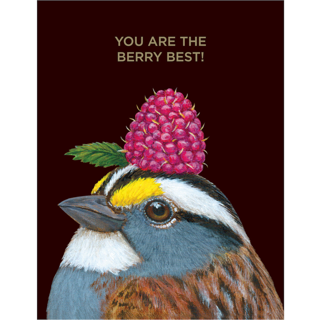 A dark brown greeting card featuring a charming illustrated portrait of a songbird wearing a bright magenta raspberry as a hat, with the words &quot;YOU ARE THE BERRY BEST!&quot; printed in gold foil. 