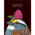 A dark brown greeting card featuring a charming illustrated portrait of a songbird wearing a bright magenta raspberry as a hat, with the words "YOU ARE THE BERRY BEST!" printed in gold foil. 