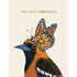 Fabulous Oriole Card featuring artwork by Vicki Sawyer of an Oriole with a butterfly on its head and text that reads "You are fabulous".