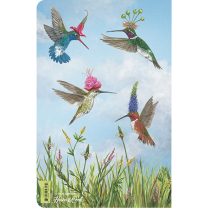 Hummingbirds Notebook