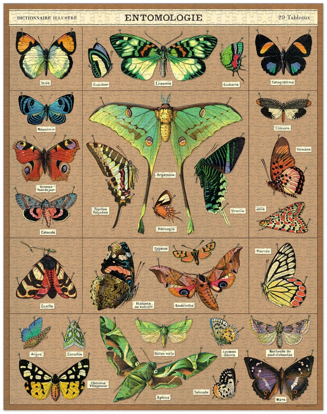 Completed Entomology Puzzle