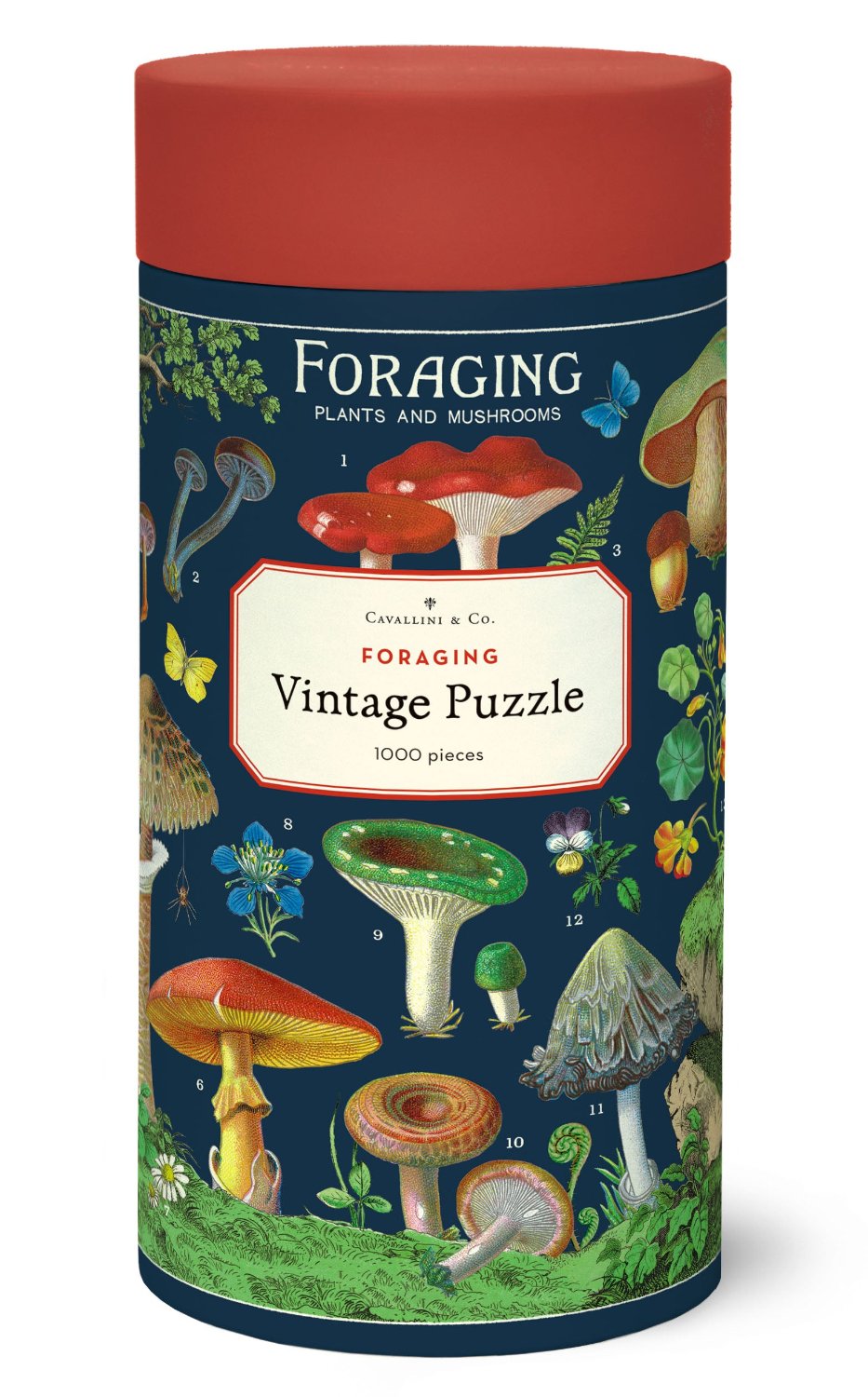 Front of foraging puzzle container